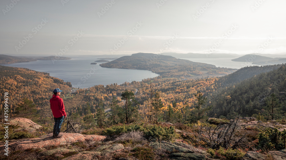 Man looks out over the coast of Höga Kusten on eats coast in Sweden from Skuleberget mountain during autumn.