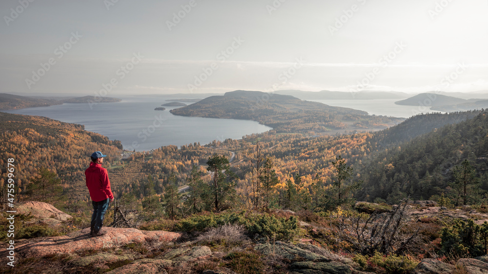 Man looks out over the coast of Höga Kusten on eats coast in Sweden from Skuleberget mountain during autumn. Man looks out over the coast of Höga Kusten on eats coast in Sweden from Skuleberget mountain during autumn.