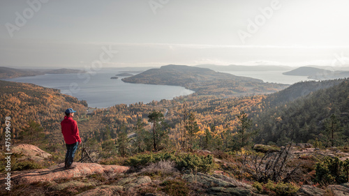 Man looks out over the coast of H  ga Kusten on eats coast in Sweden from Skuleberget mountain during autumn.