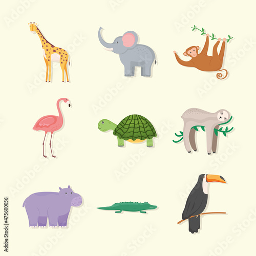 wildlife animals exotic