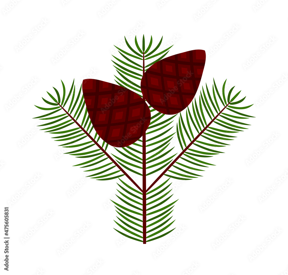 Obraz premium twig with cones isolated on white background