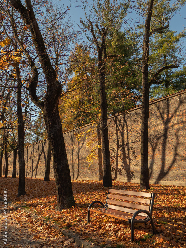 Klimatyczna ławka w jesiennym parku