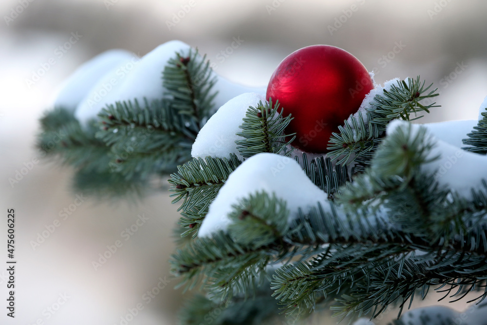 Christmas tree with red Christmas balls and snow.