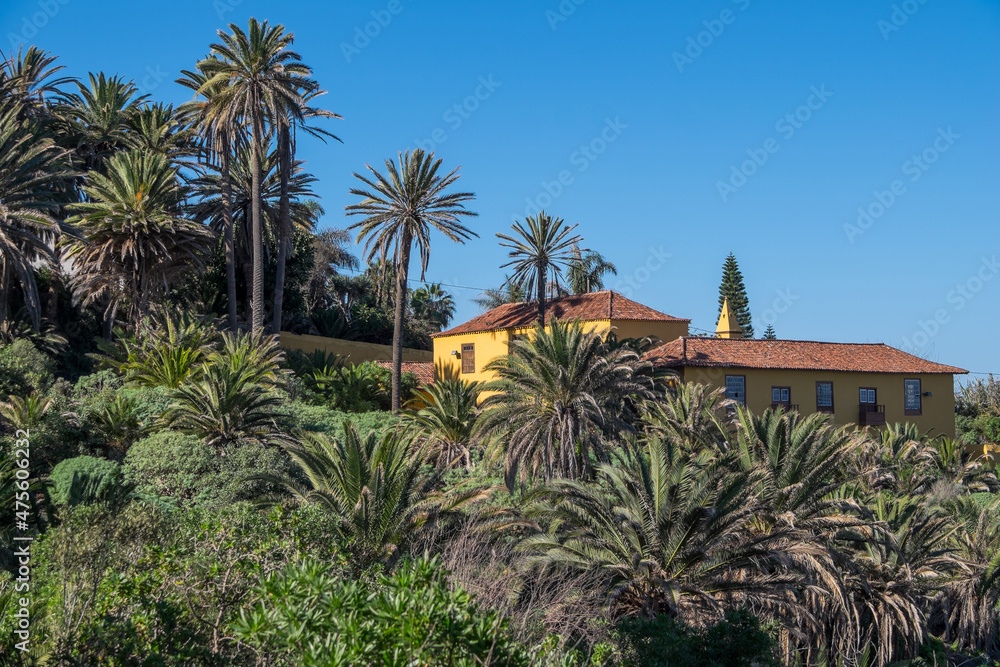 Antigua mansión rodeada de palmeras en la Rambla de Castro en el municipio de Los Realejos en el norte de la isla de Tenerife, Canarias