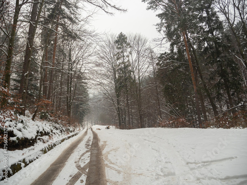 Zaśnieżona droga w zimowym lesie