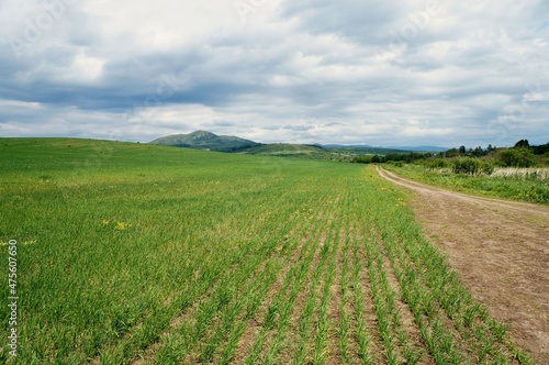 field and blue sky