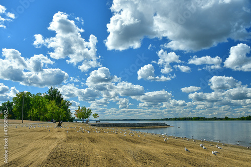 Petrie Island Beach photo