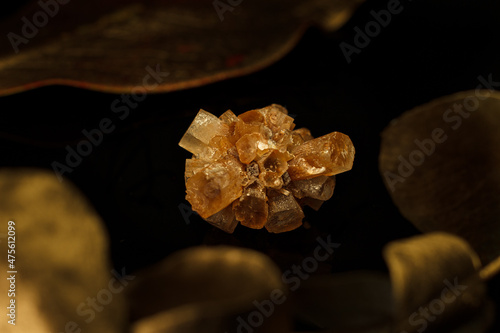Orange aragonite crystal on a black background with leaves 1