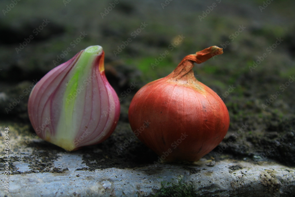 Obraz premium Red onion, sliced in half, Set of sliced red onion, Shallots still background, onion bulb season herb vegetable, ingredient.