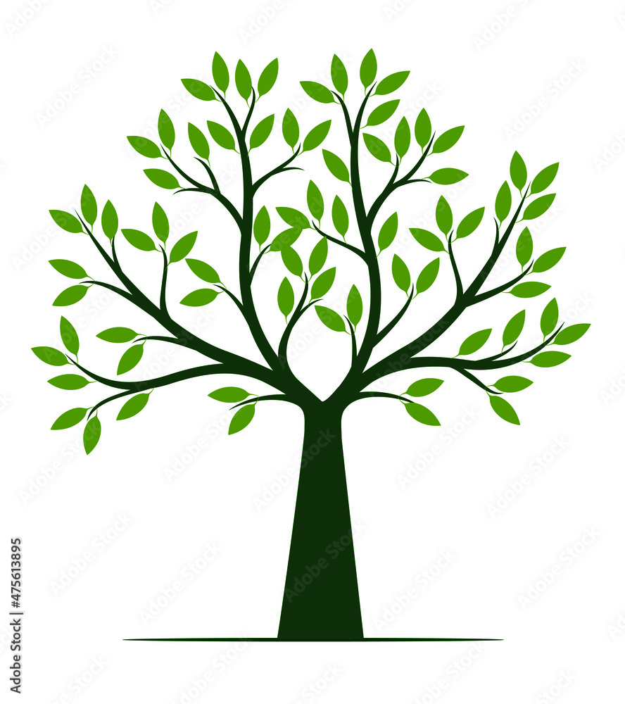 Obraz premium Shape of green Tree. Vector outline Illustration. Plant in Garden.