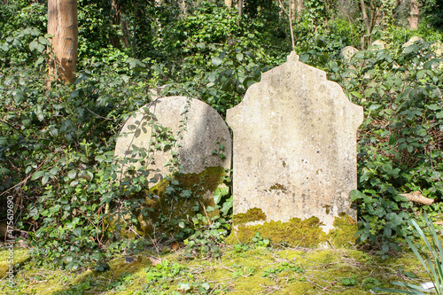 London, England - April 6 2015 - Old, worn-down, aged headstones with plants growing over them at Highgate Cemetery, located in north London, England. Image has copy space.