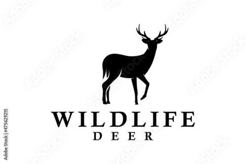 Beauty elegant deer buck stag antler silhouette logo design