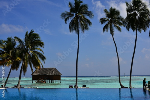 Palm tree in the wind. View of island. Maldives Islands Ocean Tropical Beach