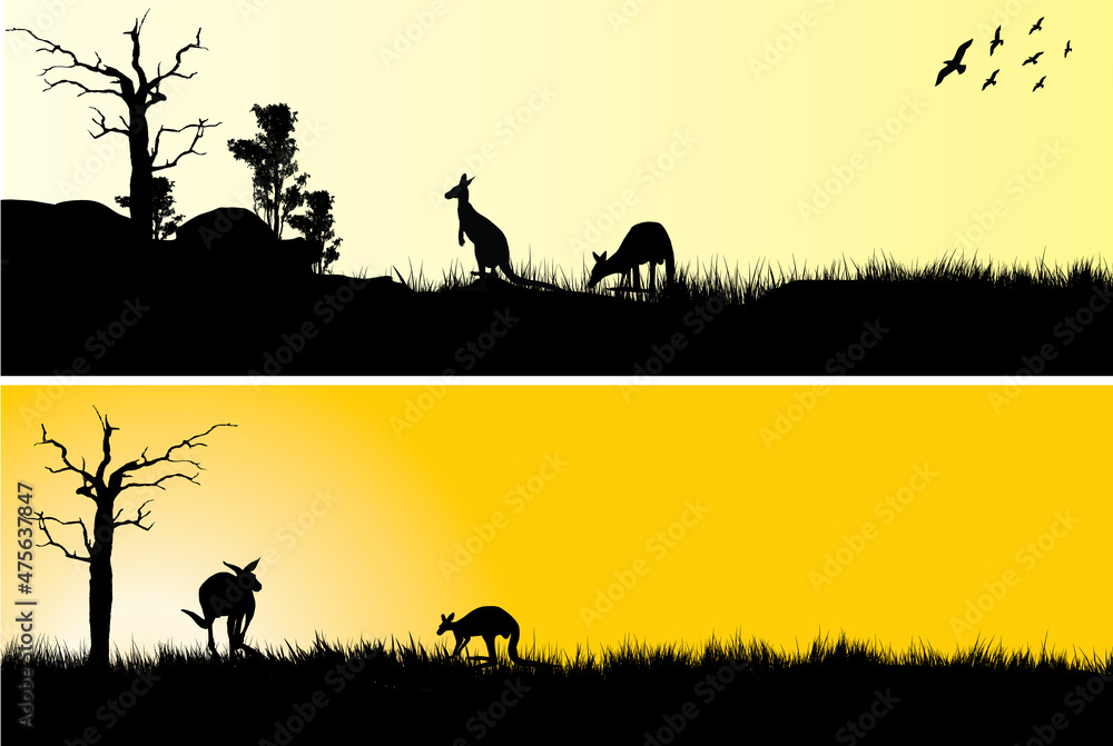 Family of Kangaroos feed in the sunset two illustrations