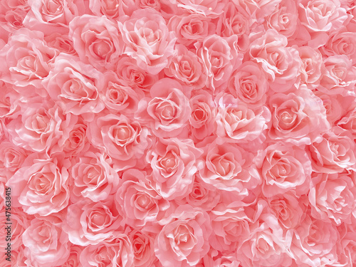ピンクのバラ　背景素材