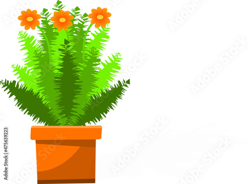 Beautiful green houseplant in a pot isolated. Vector of the flowering pot, green leaves, and orange flowers in white background. 