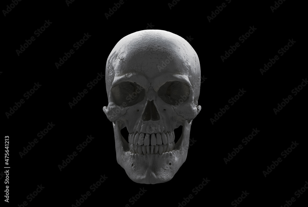 White Human skull full face on Black Isolated Background. The concept art of death, horror. Design for print, poster. A symbol of spooky Halloween, Virus, immortal, pirat. 3d rendering illustration.. White Human skull full face on Black Isolated Background. The concept art of death, horror. Design for print, poster. A symbol of spooky Halloween, Virus, immortal, pirat. 3d rendering illustration..