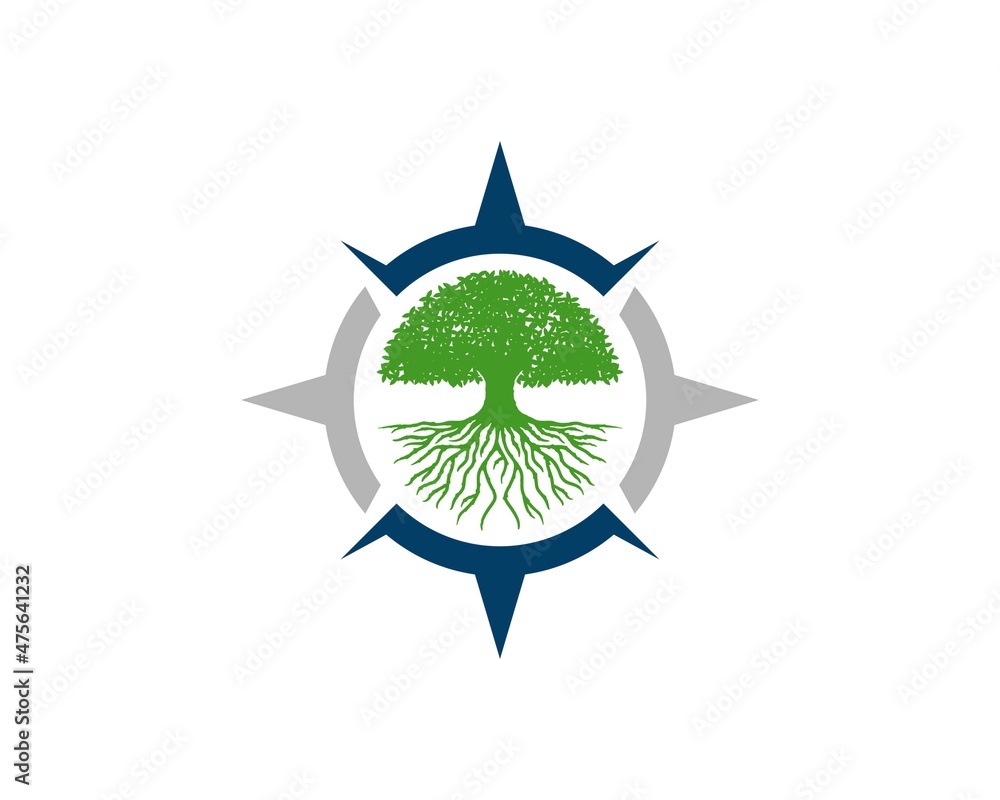 Simple compass with oak tree inside Simple compass with oak tree inside