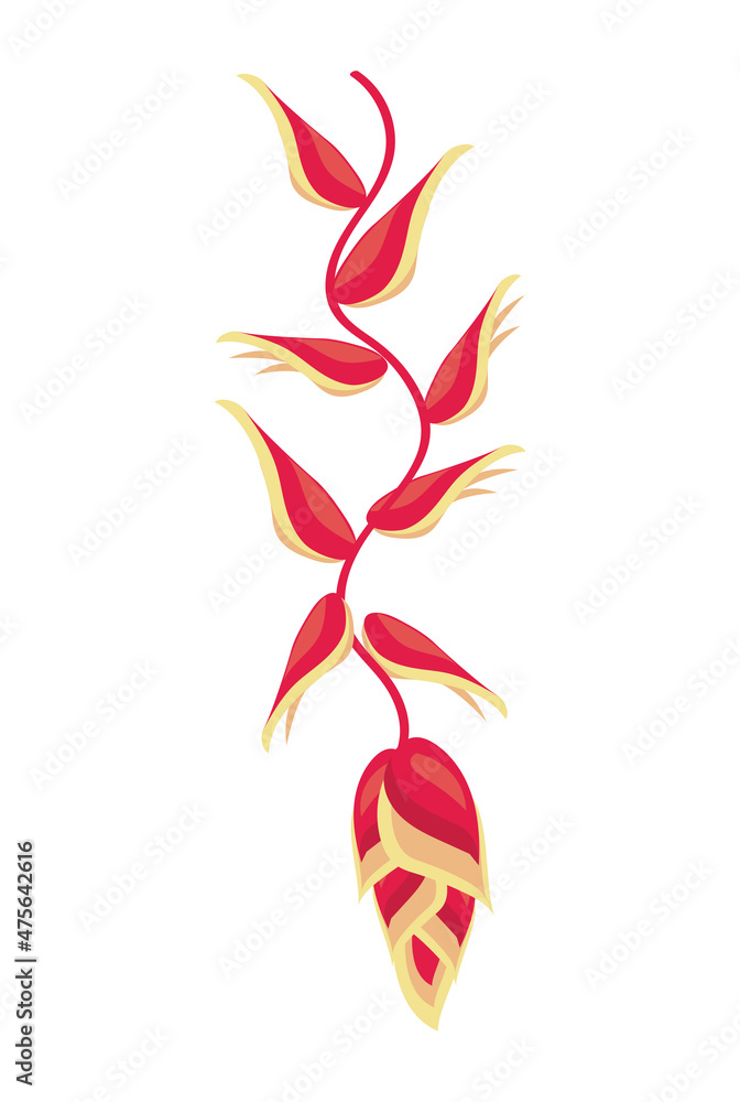 Naklejka premium exotic heliconia flower