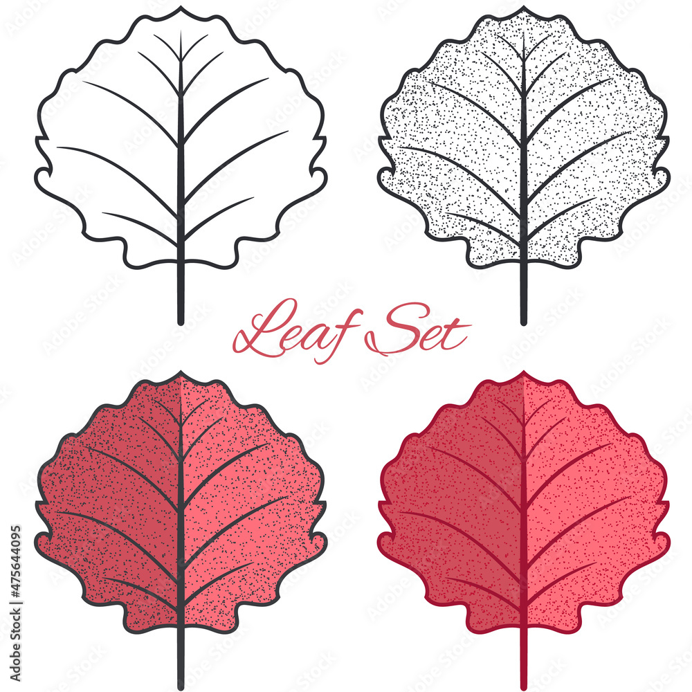 Colorful hand drawn autumn leaves. Hand draw leaves collection 10. Autumn leaf vector illustration. Colorful hand drawn autumn leaves. Hand draw leaves collection 10. Autumn leaf vector illustration.