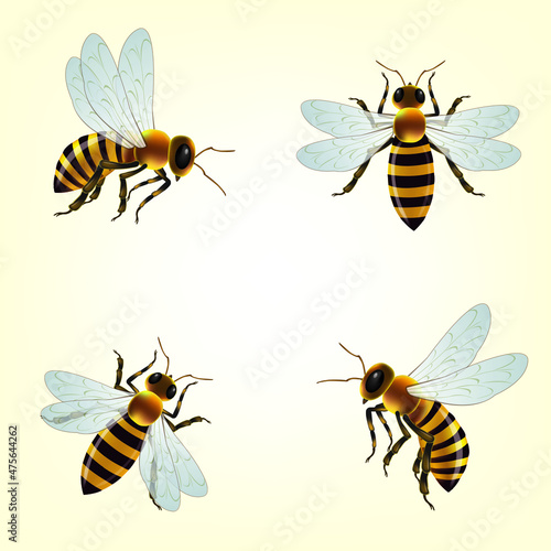 Honey bee isolated cartoon set icon. Vector illustration animal of honeybee on white background. Vector cartoon set icon honey bee . 