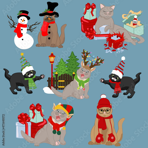 Cats in holyday christmas hats and costumes