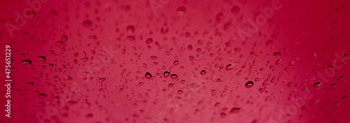 Macro shot of clear water droplets on pinksurface photo