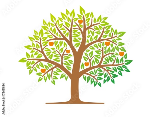 木　樹木　果実　イラスト