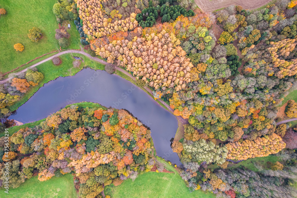 Top down view over Park, Pond and Gardens from a drone in the colors of fall, Exeter, Devon, England, Europe