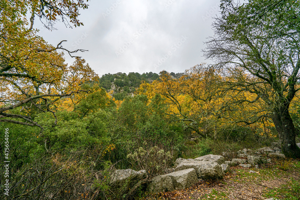 Termessos is one of the best preserved of the ancient cities of Turkey, was founded by the Solims, and concealed by pine forests and with a peaceful and untouched appearance