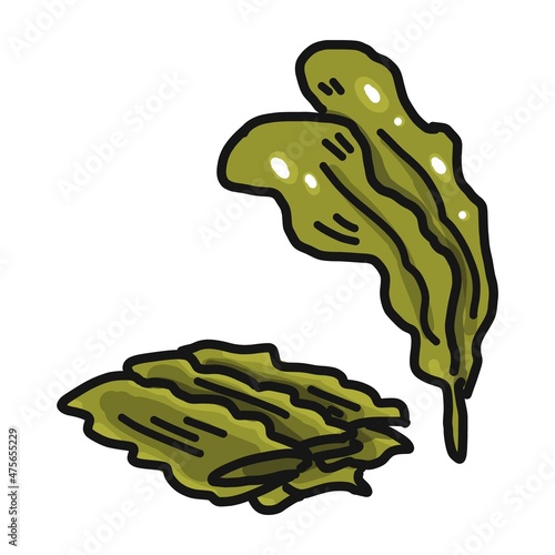 生の昆布と、乾燥昆布のイラスト