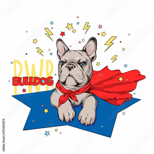 Cute french bulldog in superhero cape. Bulldog power illustration. Stylish image for printing on any surface