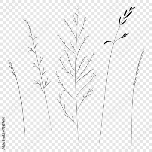 Field and meadow grasses, black contour line. Sketch of medicinal plants, vector drawing.