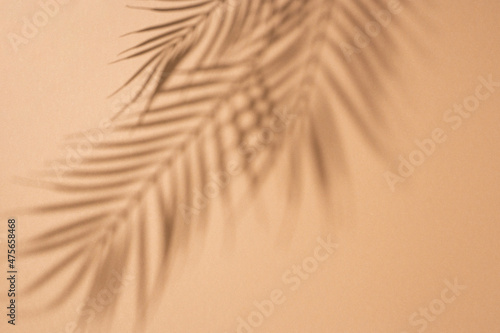 Shadows of tropical leaves of a palm tree on a brown background. Top view, flat lay