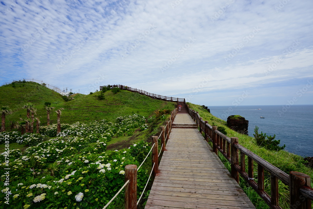 a wonderful boardwalk at a seaside cliff