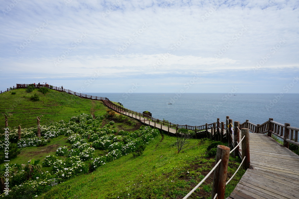 a wonderful boardwalk at a seaside cliff