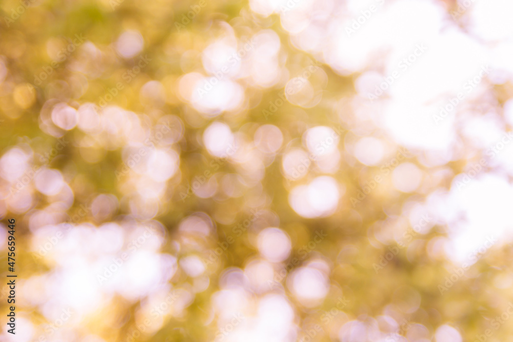 Obraz premium Abstract natural bokeh background, blurred bokeh