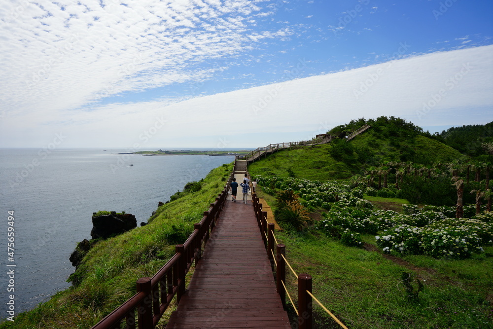 a wonderful boardwalk at a seaside cliff