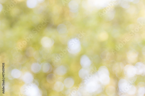 Abstract natural bokeh background, blurred bokeh