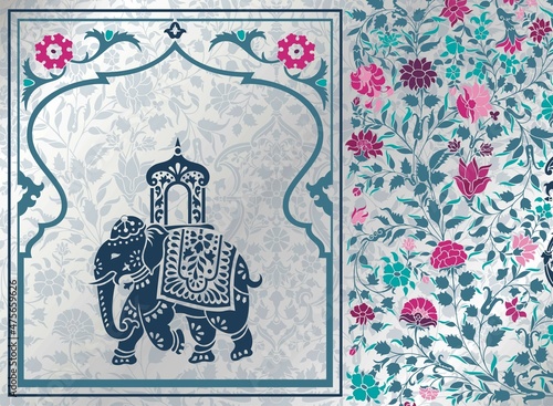 Elephant, festival , Jaipur, Royal Rajasthan, India, Asia	
