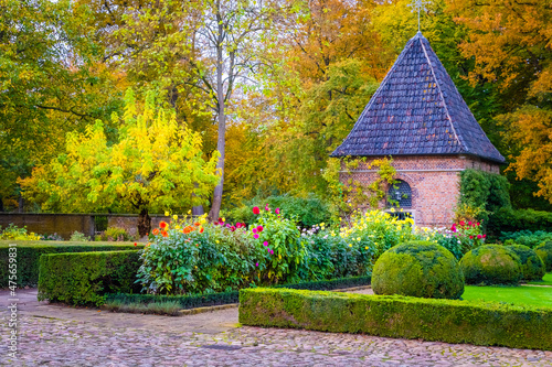 Fototapeta Naklejka Na Ścianę i Meble -  garden with flowers