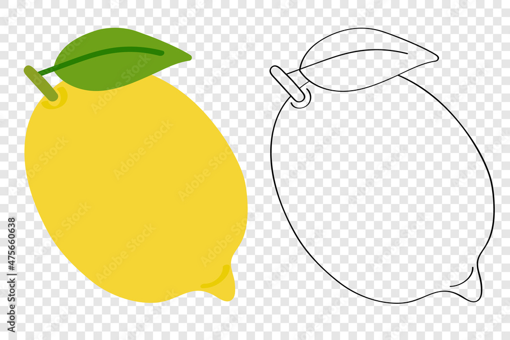 Lemon is a fruit with vitamin C for proper nutrition, vector flat cartoon  illustration. Template with color sketch and one line outline drawing for  childrens coloring. Stock Vector | Adobe Stock
