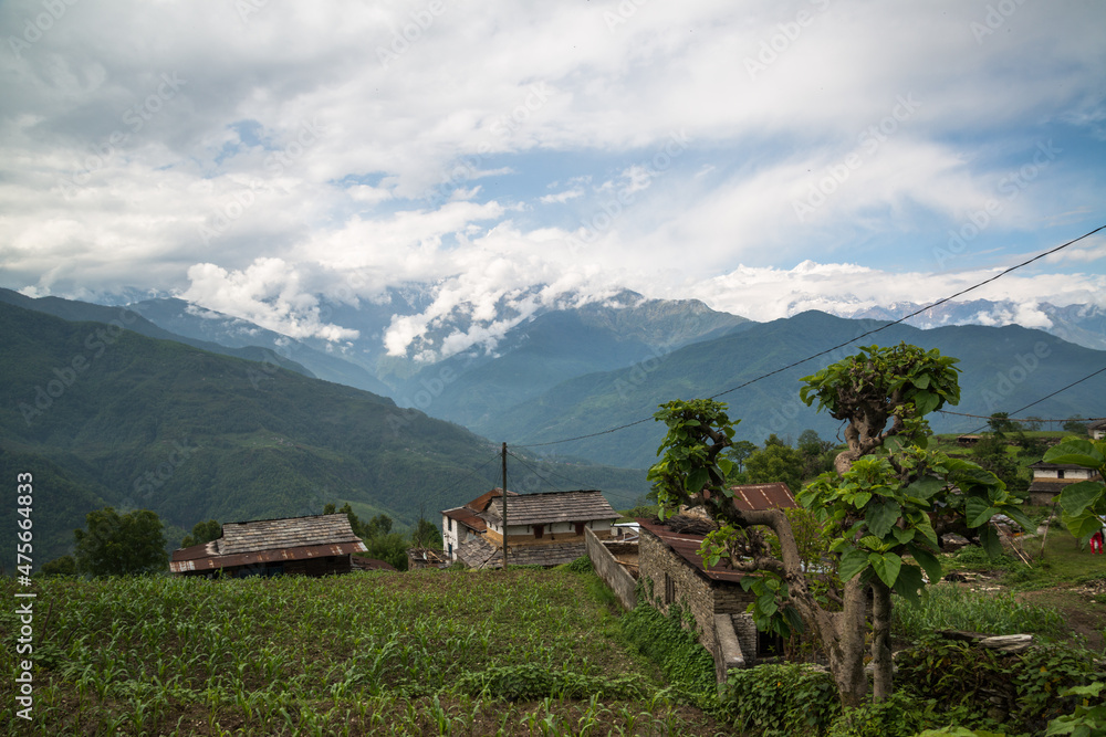 Annapurna Sanctuary trek part from Phedi to Pothana, Nepal Annapurna Sanctuary trek part from Phedi to Pothana, Nepal