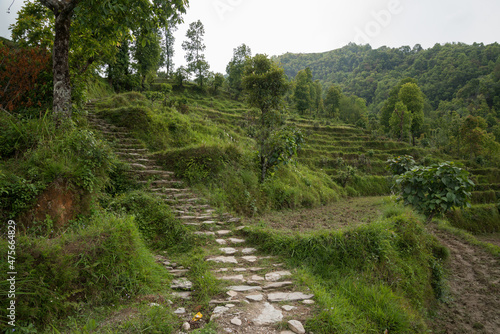 Annapurna Sanctuary trek part from Phedi to Pothana  Nepal