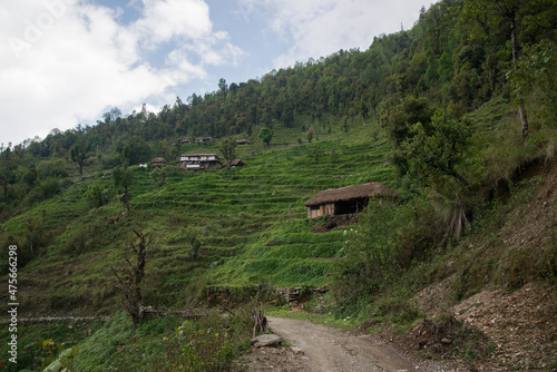 Annapurna Sanctuary trek part from Pitam Deurali to Bamboo. © pe3check