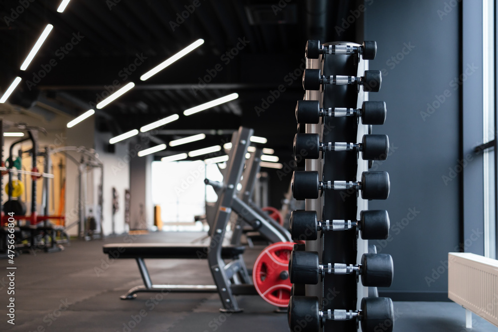 Fototapeta premium Vertical rack with dumbbells in the gym