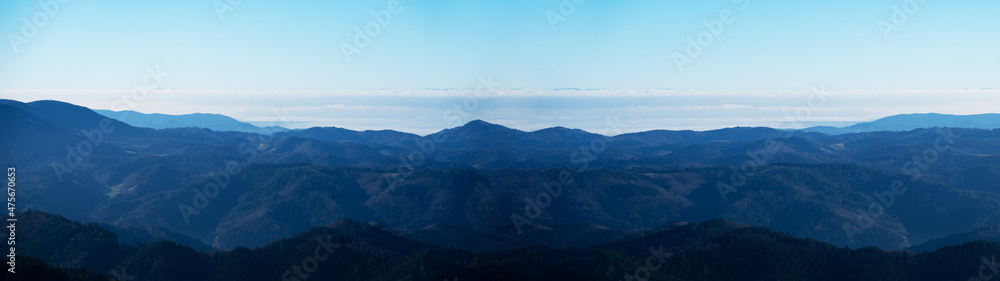 Amazing mystical rising fog forest trees landscape view in black forest ( Schwarzwald ) Germany panorama banner .- dark mood