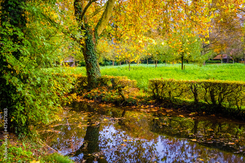 autumn landscape with trees © Visualmedia