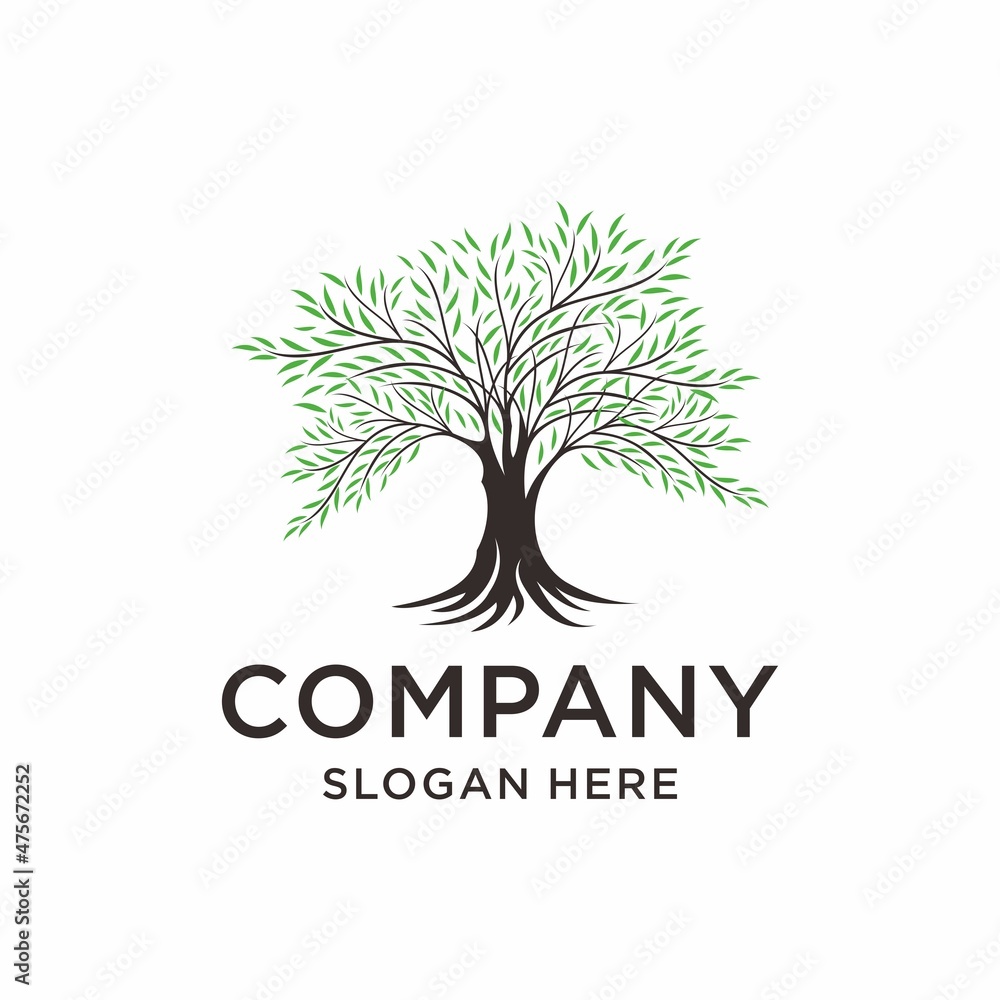 Obraz premium Company nature tree logo template Premium Vector