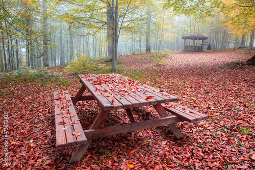 Autumn leaves on the table and floor.